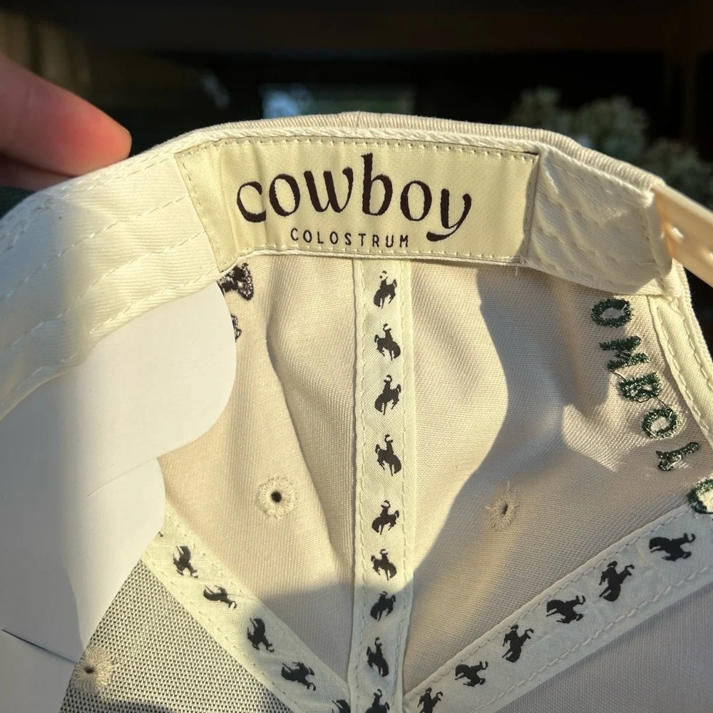 Green and White Cowboy Hat - Picture 4 of 6